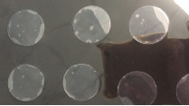 3R GELATIEREN starke gestempelschnittene Produkt-entfernbare klebende Punkte PUs 0.3mm
