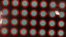 Wasserdichte PTFE-Folie und Nylon- oder Polyurethannetz für Kamera- und Haarpflegeprodukte